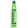 Xpel Tea Tree Conditioner moterims, 400 ml