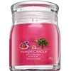 Yankee Candle Aromatinė žvakė Signatūrinė stiklo terpė "Art in the Park" 368 g