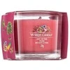 Yankee Candle Yankee žvakė „Art In The Park“ 37 g
