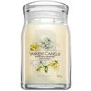 Yankee Candle Aromatinė žvakė Signature glass large Midnight Jasmine 567 g