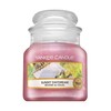 Yankee Candle Sunny Daydream kvapioji žvakė unisex, 104 g