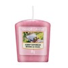 Yankee Candle Sunny Daydream kvapioji žvakė kvapioji žvakė, 49 g