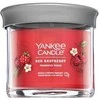 Yankee Candle kvapioji žvakė „Raudona“ su avietėmis, 122 g