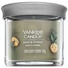 Yankee Candle Yankee žvakė „Salvia &amp; Citrus“ 122 g