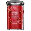 Yankee Candle Aromatinė žvakė Signature tumbler large Sparkling Cinnamon 567 g