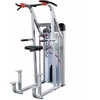 Prisitraukimu ir lygiagrečių treniruoklis Body Solid S2ACD