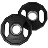 Olimpiniai gumuoti svarmenys TUNTURI 1,25-25kg (Svoris: 2 x 1.25 kg)