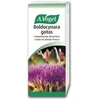A. VOGEL Vogel Boldocynara 100ml
