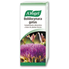 A. VOGEL Vogel Boldocynara 100ml
