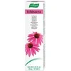 A. VOGEL Vogel Dentaforce Ežiuolė 100g