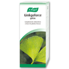 A. VOGEL Vogel Ginkgoforce 100ml