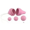 "Adrien Lastic Pelvix Concept" dubens dugno treniruoklis