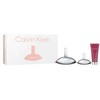 Kvepalų rinkys Calvin Klein Euphoria (EDP 100 ml + EDP 30 ml + Kūno losjonas 100 ml)