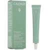 "Caudalie Vinopure" salicilo rūgšties kremas nuo spuogų 15ml