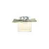 Chloé Naturelle EDP parfumuotas vanduo moterims, 30 ml