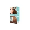 Cleare Institute Colour Clinuance 5.3 Light Golden Brown plaukų dažai