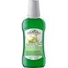 "Corpore Eliksyras Buccal" 250ml