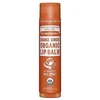 Dr. Bronner's Organic Lūpų balzamas Oranžinis-Ginger 4 g