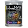 Drasanvi Collmar Magnesium Vanilla 300g