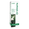 Eladiet Fitoekstraktai Ulmaria 50ml