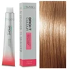 "Eurostil Right Colour Tint N8,3 Light Golden Skirtas šviesiems plaukams" plaukų dažai