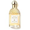Guerlain Aqua Allegoria Mand Basilic et 40 Rble