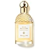 Guerlain Aqua Allegoria Mand Basilic et 40 Rble