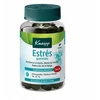 Kneipp Memory Gummies maisto papildai atminčiai gerinti 60 vnt