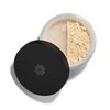 Lily Lolo Star Dust mineralinė skaistinanti pudra 1vnt