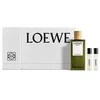 Loewe Esencia Homme Ep 150 Vap 20 Cof-D