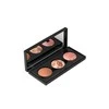 Mia Cosmetics Paris "Mía Cosmetics Orion's Light" skaistalų paletė 6g