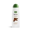Phyto Nature šampūnas nuo plaukų slinkimo 400ml