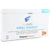 Prisma Natural Prisma Nat Plantavital - Energy 20 ampulių 10ml
