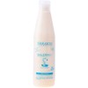 „Salerm Cosmetics 21“ nenuplaunamas kondicionierius su šilko baltymais, 250 ml