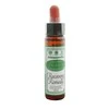 Santiveri Bacho atstatomoji priemonė 10ml