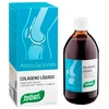 Santiveri Dynamic Art kolageno skystis 240ml