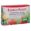 Santiveri EnergyAdapt 24 tabletės