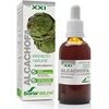 Soria Artichoke Extract S.XXI 50ml