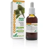 Soria Composor 19 Depulan S Xxi 50ml