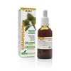 Soria Composor 19 Depulanas S Xxi 50ml
