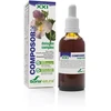 Soria Composor 20 Harpa S Xxi 50ml
