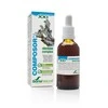 Soria Composor 21 Obestano kompleksas S Xxi 50ml