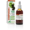 Soria Composor 23 Hyssopus S Xx1 50ml