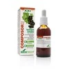 Soria Composor 23 Hyssopus S Xx1 50ml