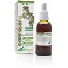 Soria Composor 25 Lepidiums Xxi 50ml