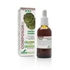 Soria Composor 26 Phalaris S Xxi 50ml