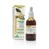 Soria Komponentas 3 Hepavesical kompleksas S Xxi 50ml