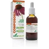 Soria Composor 8 Echina S Xxi 50ml