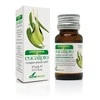 Soria Eukalipto eterinis aliejus 15ml