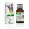 Soria Levandų eterinis aliejus 15ml